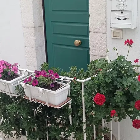 Guest house La Chicca Di C.cavour *