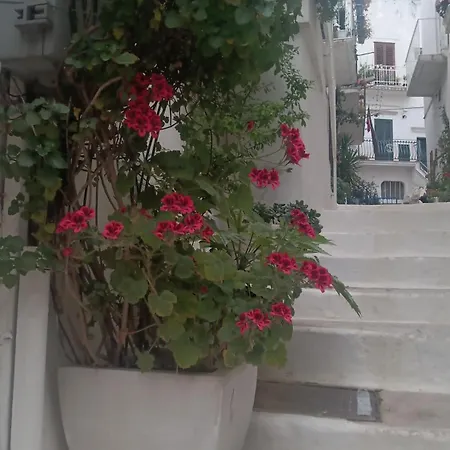 La Chicca Di C.cavour 게스트하우스 오스투니