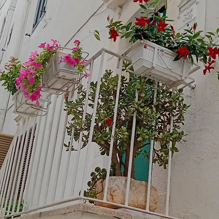 Guest house La Chicca Di C.cavour